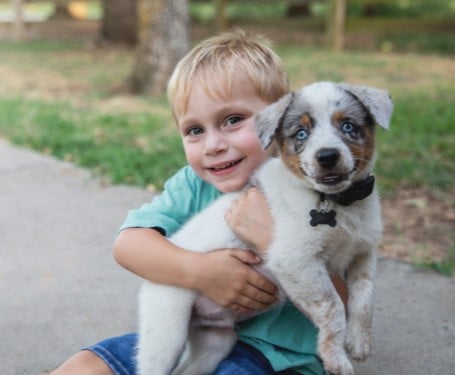 dog
